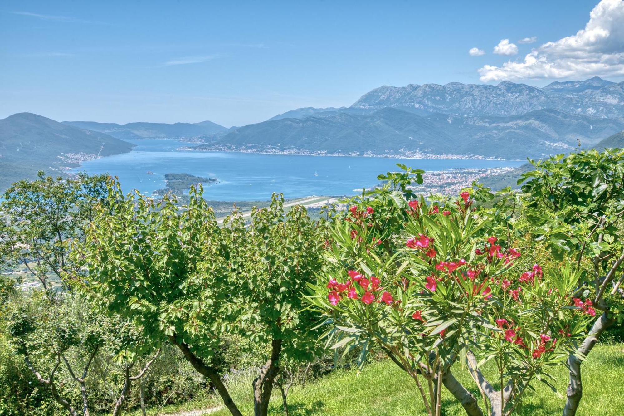 Apartment Paradise Kotor Exterior photo