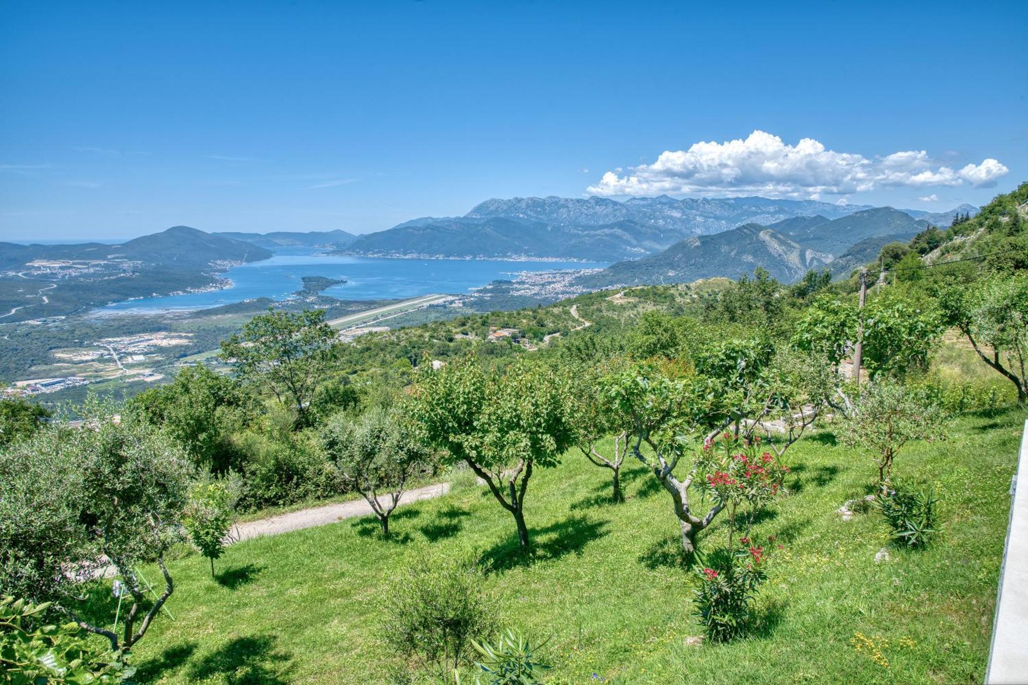 Apartment Paradise Kotor Exterior photo